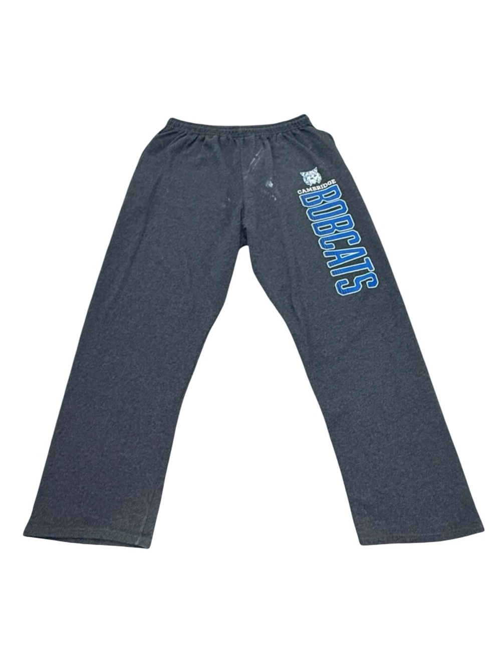 Vintage Cambridge Bobcats Sweatpants Gray Graphic Y2K